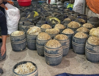 Hưng Yên: Khởi tố hai đối tượng dùng chất cấm sản xuất gần 3 tấn giá đỗ