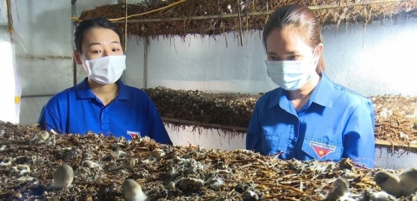 Phát huy hiệu quả các mô hình kinh tế