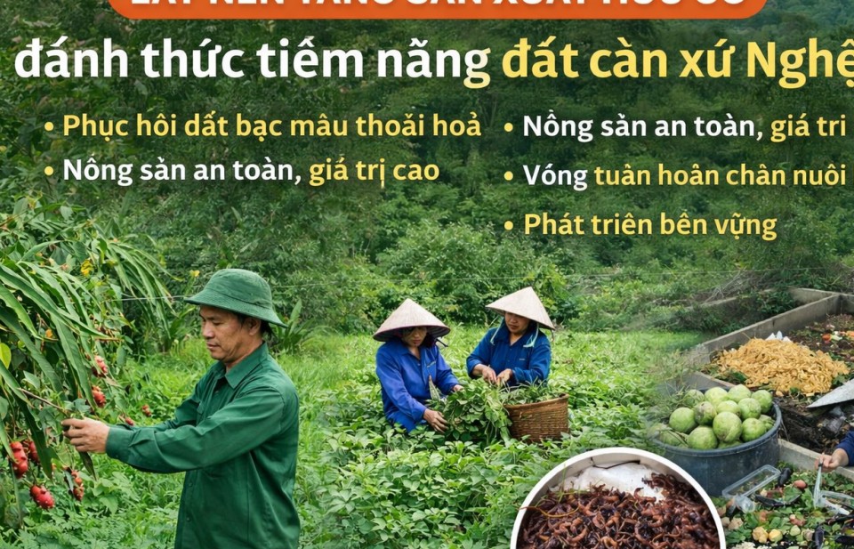 Lấy nền tảng sản xuất hữu cơ "đánh thức" tiềm năng đất cằn xứ Nghệ