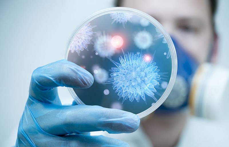 Bộ Y tế cảnh báo khẩn liên quan đến virus Nipah