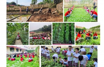 Xây dựng lực lượng công dân có trách nhiệm với môi trường trong tương lai