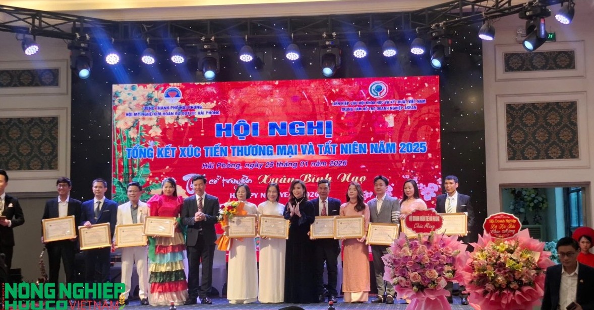 Trên 500 doanh nghiệp tham gia Hội nghị tổng kết xúc tiến thương mại khu vực Tây Hải Phòng