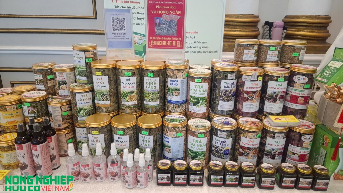 Trên 500 doanh nghiệp tham gia Hội nghị tổng kết xúc tiến thương mại khu vực Tây Hải Phòng