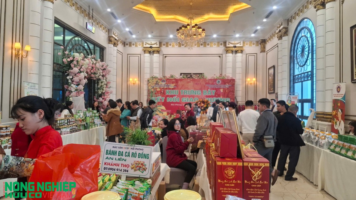 Trên 500 doanh nghiệp tham gia Hội nghị tổng kết xúc tiến thương mại khu vực Tây Hải Phòng