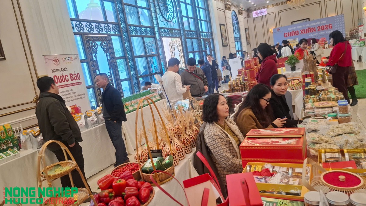 Trên 500 doanh nghiệp tham gia Hội nghị tổng kết xúc tiến thương mại khu vực Tây Hải Phòng