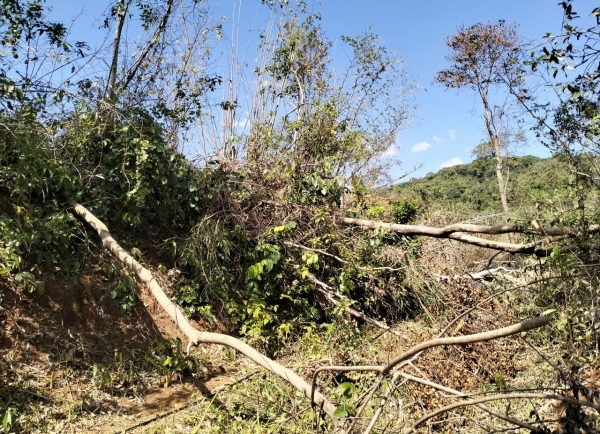 Tăng cường bám sát địa bàn, kiểm tra tại các khu vực có nguy cơ cao xảy ra phá rừng