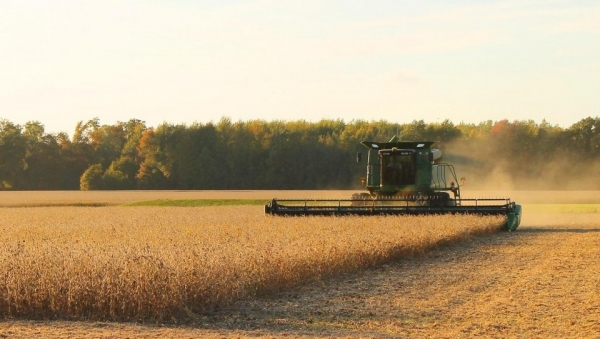 Nông dân đậu tương tại Mỹ lo ngại phản ứng thương mại từ Trung Quốc