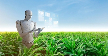 Trí tuệ nhân tạo: Ứng dụng công nghệ AI trong quản lý đồn điền