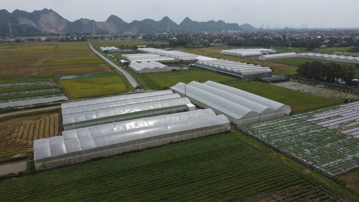 Tích tụ đất đai, cơ giới hóa mở đường cho nông nghiệp công nghệ cao