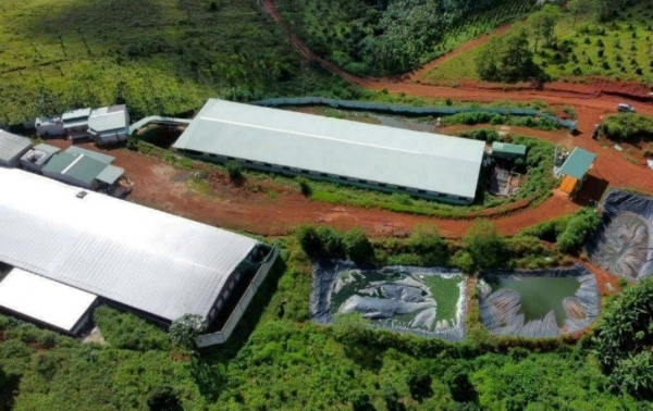 Lâm Đồng yêu cầu 2 trang trại chăn nuôi khắc phục những vi phạm về chỉ tiêu xả thải