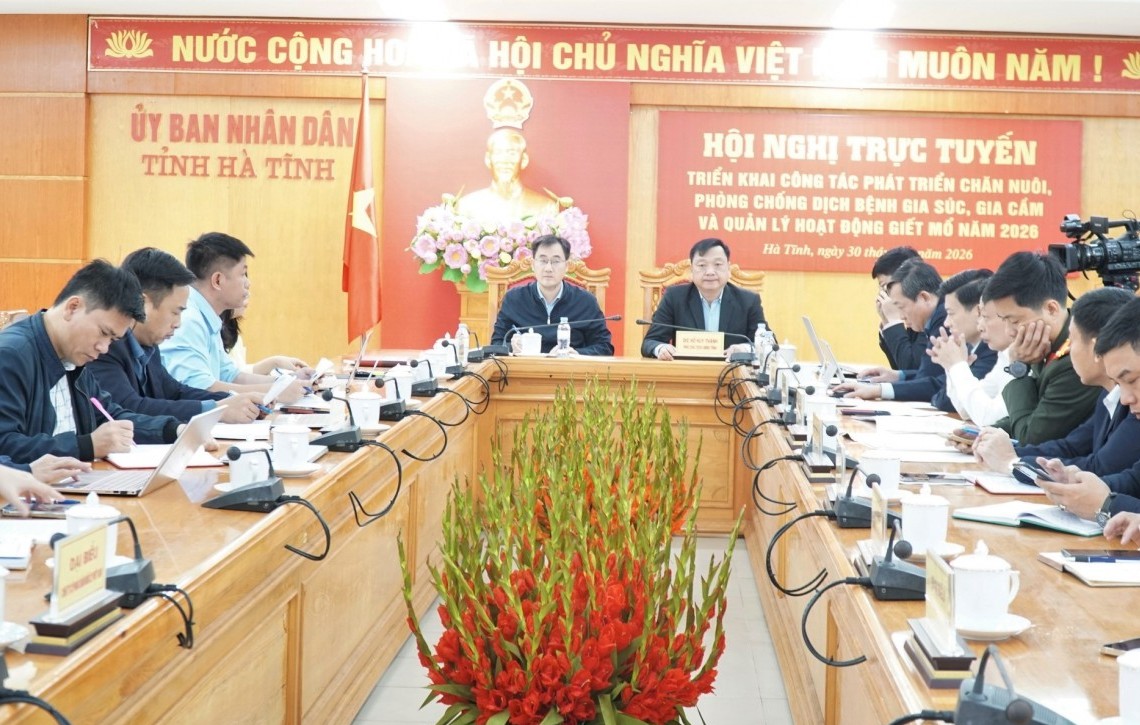 Hà Tĩnh: Triển khai công tác phát triển chăn nuôi và phòng, chống dịch bệnh động vật trên địa bàn