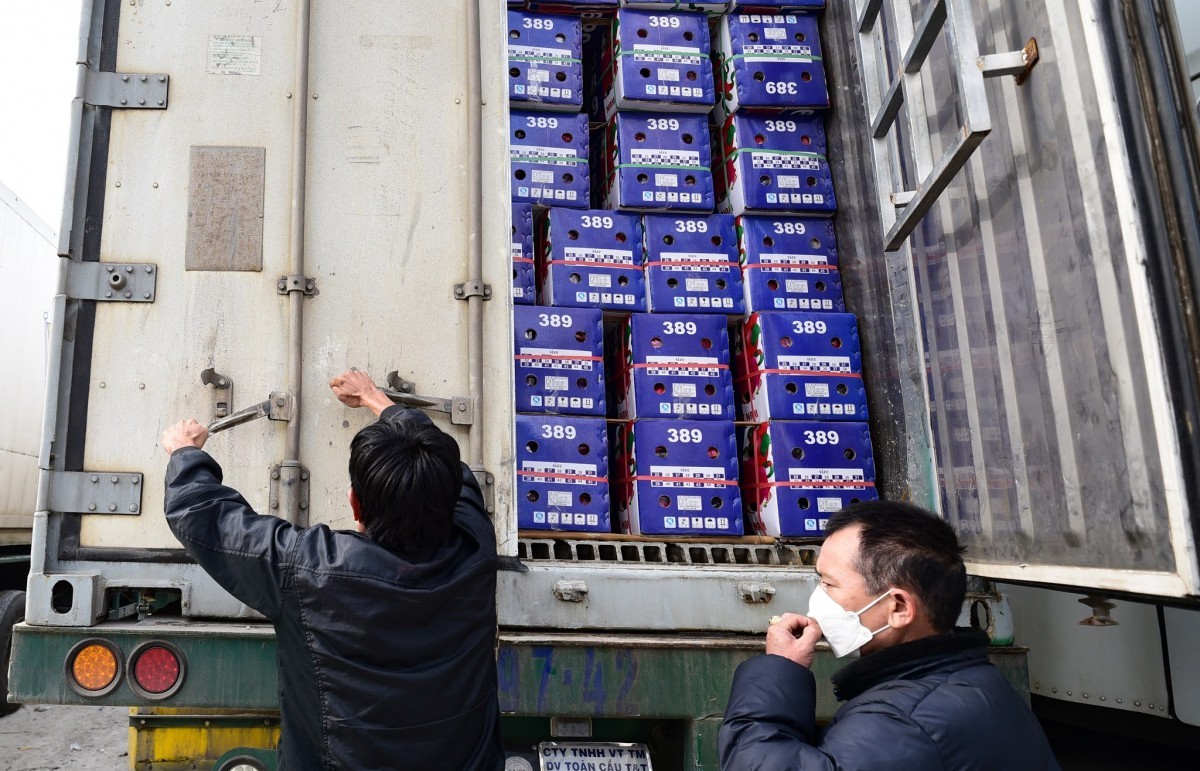 Tăng phối hợp liên ngành nhằm kịp thời gỡ khó xuất nhập khẩu nông sản