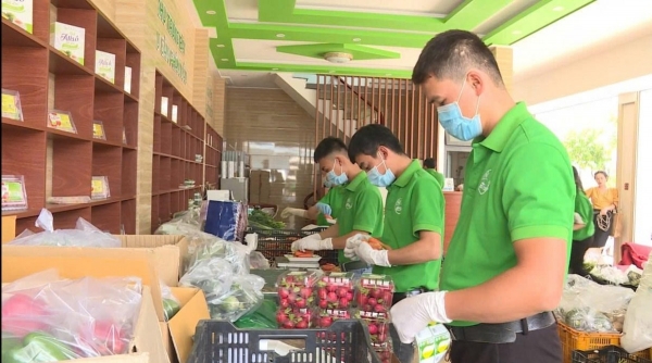 Lâm Đồng nâng cao vị thế nông sản qua việc kiểm soát chất lượng và an toàn thực phẩm