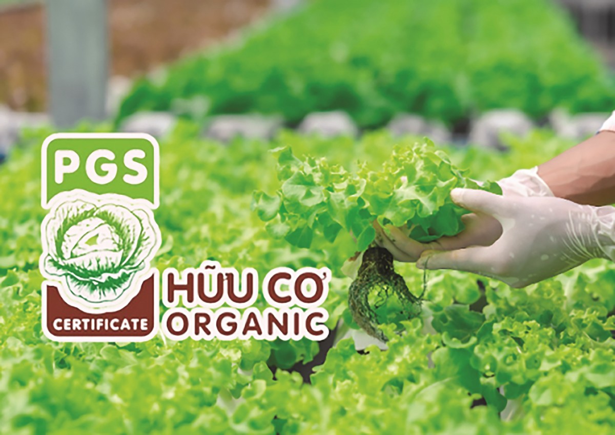 Vai trò của chính sách nâng tầm nông nghiệp hữu cơ Việt Nam