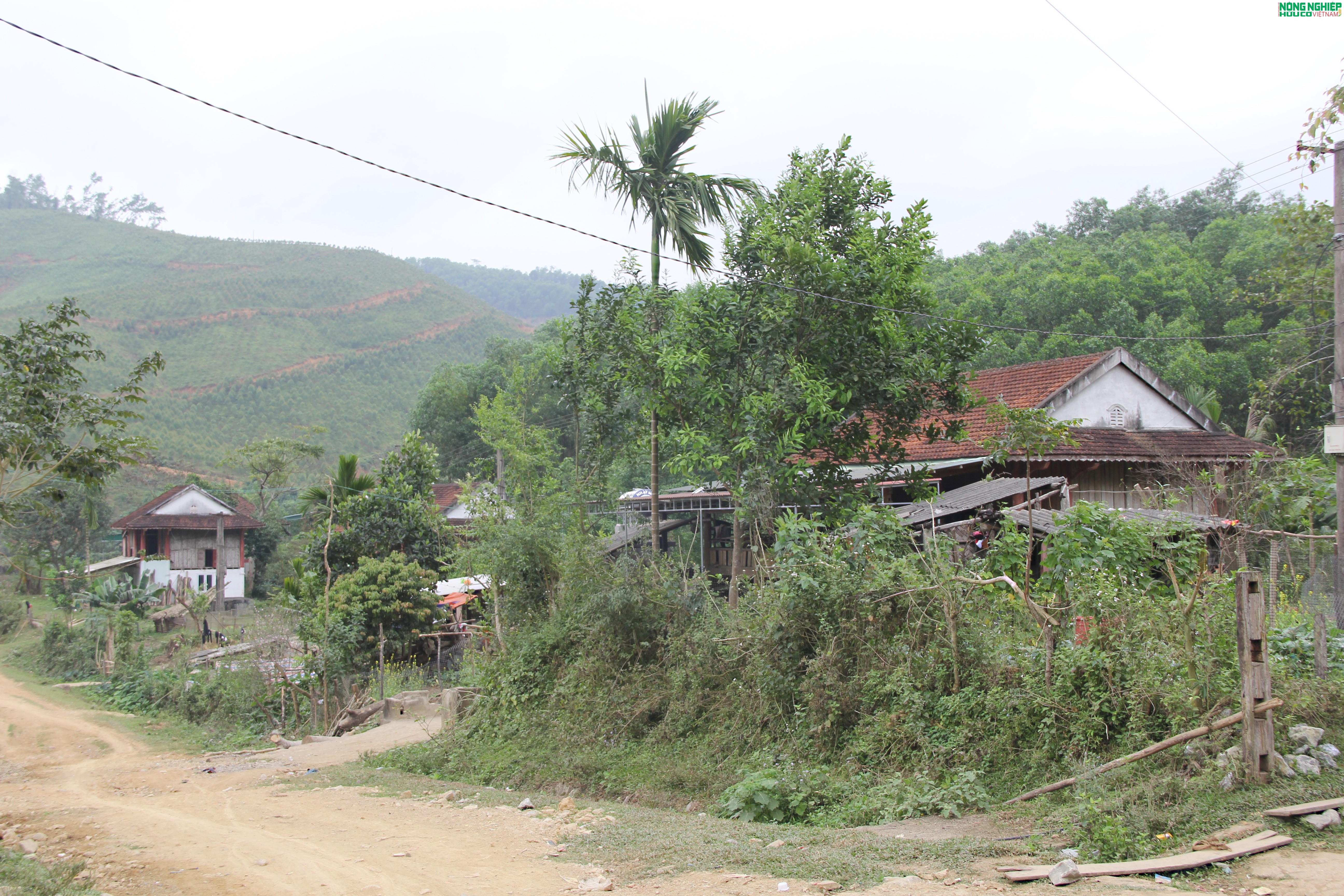 Hàng trăm suất quà Tết gửi gắm yêu thương đến với bà con Đan Lai, xứ Nghệ