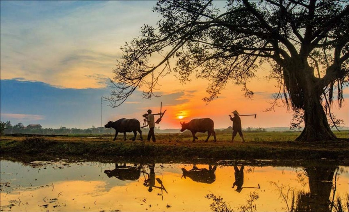 Thơ ca và nông nghiệp, nông thôn, nông dân