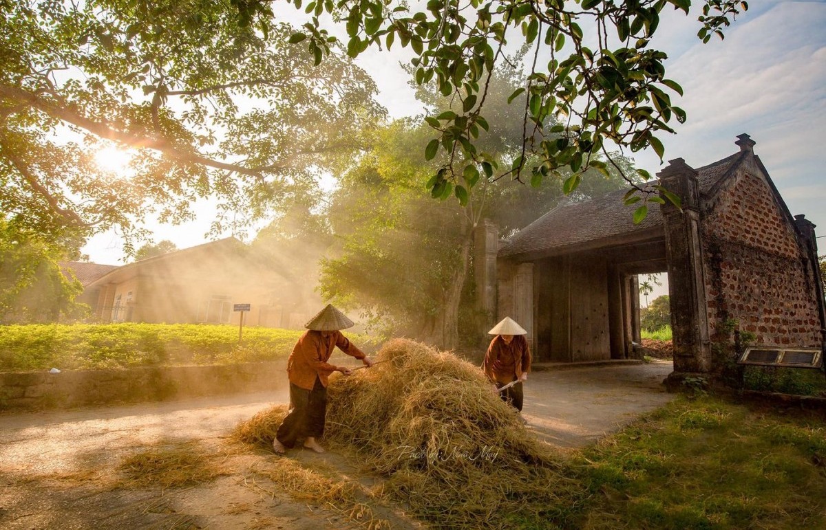 Thơ ca và nông nghiệp, nông thôn, nông dân