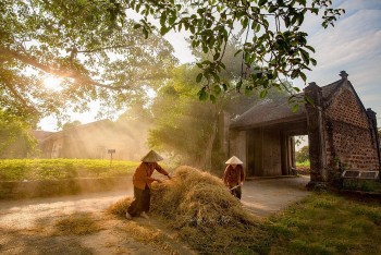 Thơ ca và nông nghiệp, nông thôn, nông dân