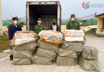 Quảng Ninh: Xử phạt hành chính lái xe vận chuyển nầm lợn không rõ nguồn gốc