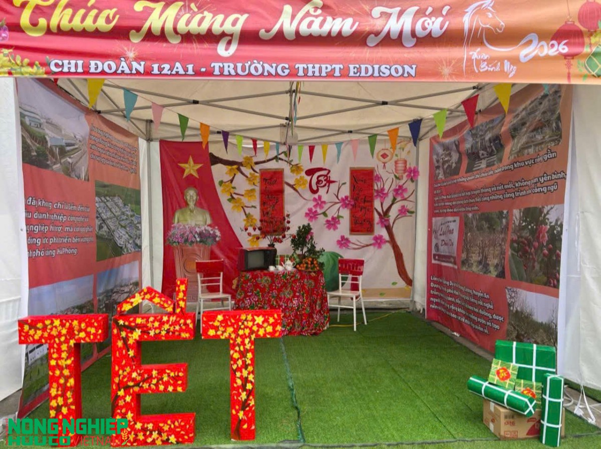 Trường EDISON rực rỡ hội chợ xuân Bính Ngọ: Lan toa sắc xuân và gói trọn yêu thương