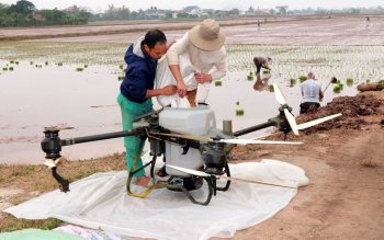Gieo mầm “công nghệ” trên đồng hữu cơ
