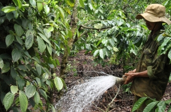 Lâm Đồng tổ chức ra quân lao động, sản xuất đầu năm 2026