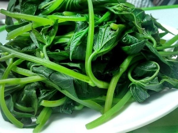 Khám phá công dụng của rau khoai lang đối với sức khỏe toàn diện