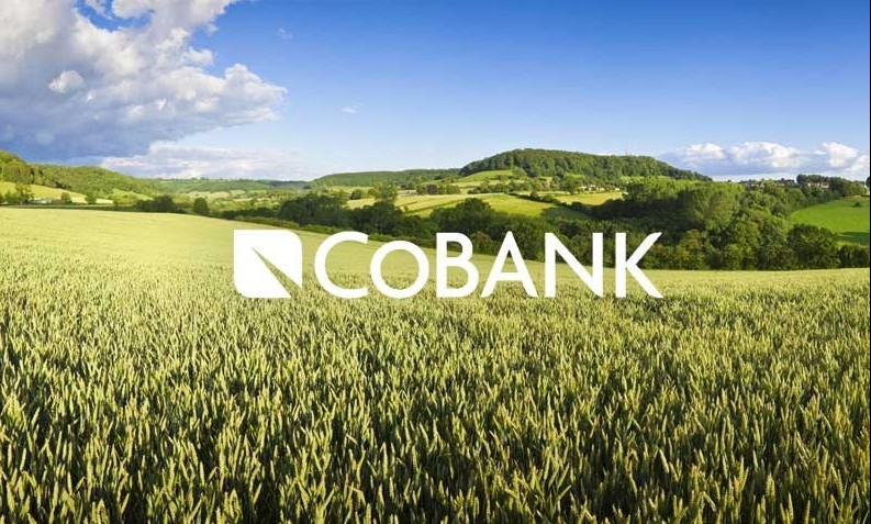 CoBank công bố dữ liệu thương mại nông sản Hoa Kỳ cuối năm 2025
