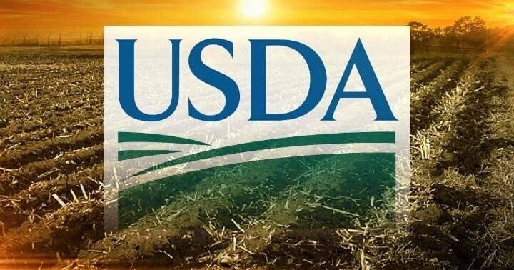USDA công bố gói mua thực phẩm nhằm hỗ trợ nông dân và ổn định thị trường nông sản