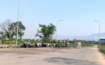 Khu Trung tâm thương mại - dịch vụ Phú Nhân Nghĩa đã sạch, đẹp.