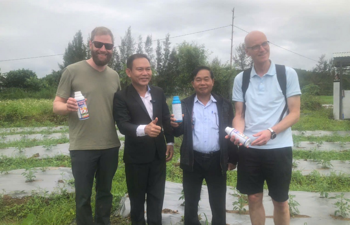 Hiệp hội Hồ tiêu Việt Nam tham quan mô hình ớt hữu cơ xã Tây Hồ, TP Đà Nẵng