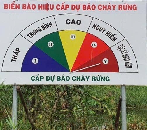 Sai phạm trong công tác phòng cháy chữa cháy rừng tại Công ty TNHH MTV Lâm nghiệp Di Linh