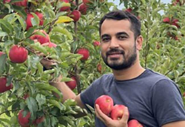 Các nhà khoa học Mỹ phát triển mô hình dự báo bệnh cháy lá vi khuẩn