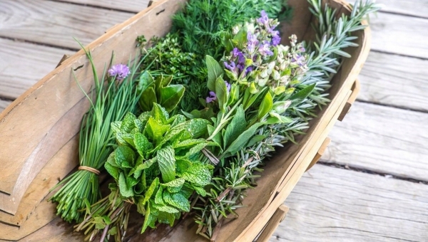 5 loại rau gia vị tốt nhất giúp giảm viêm, tăng cường sức khỏe tim mạch