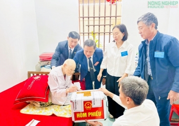 Rộn ràng “ngày hội non sông” ở xứ Nghệ