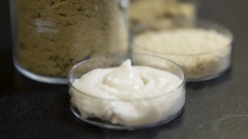 Từ phụ phẩm gạo đến phô mai thực vật giàu protein