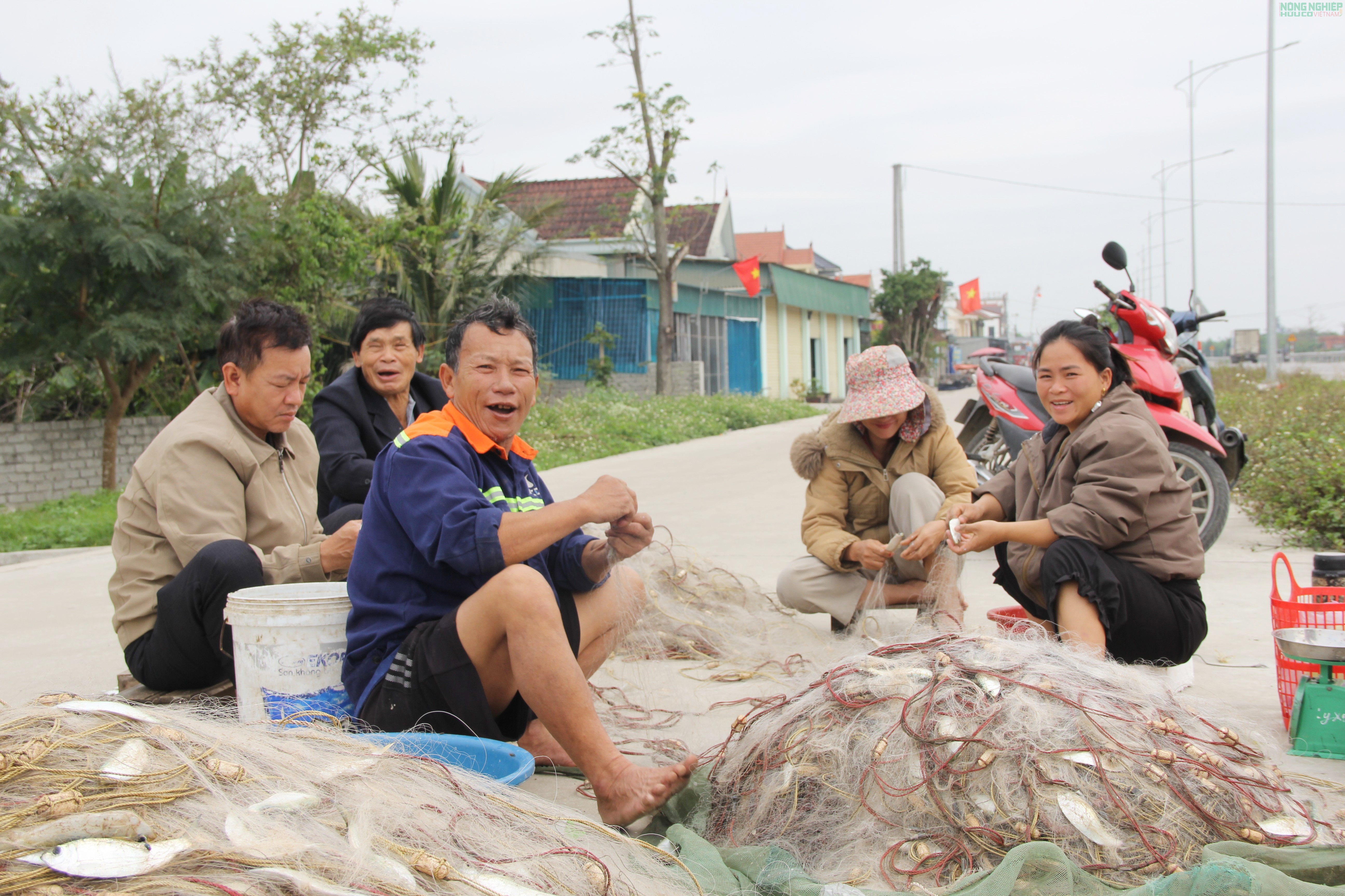 Mỏi tay gỡ cá trích, ngư dân Nghệ An kiếm tiền triệu sau mỗi chuyến biển