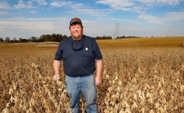 Giá phân bón tăng mạnh có thể làm thay đổi cơ cấu gieo trồng vụ 2026