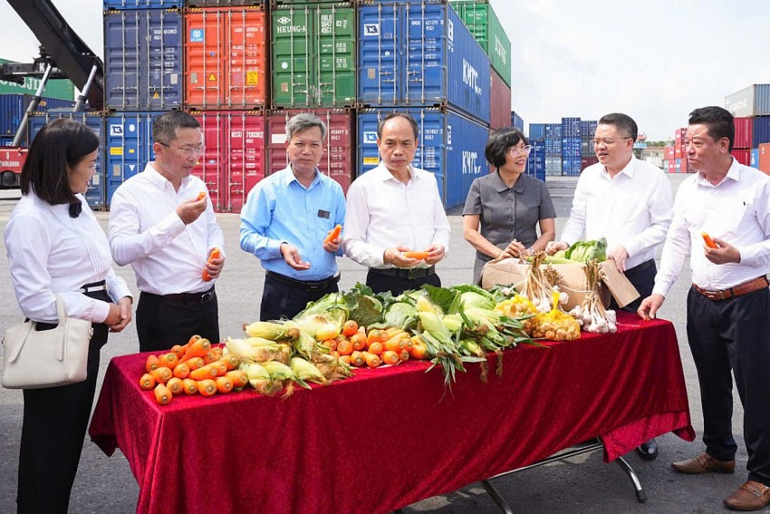 Phường Đồ Sơn (Hải Phòng) tiên phong kết nối tiêu thụ nông sản