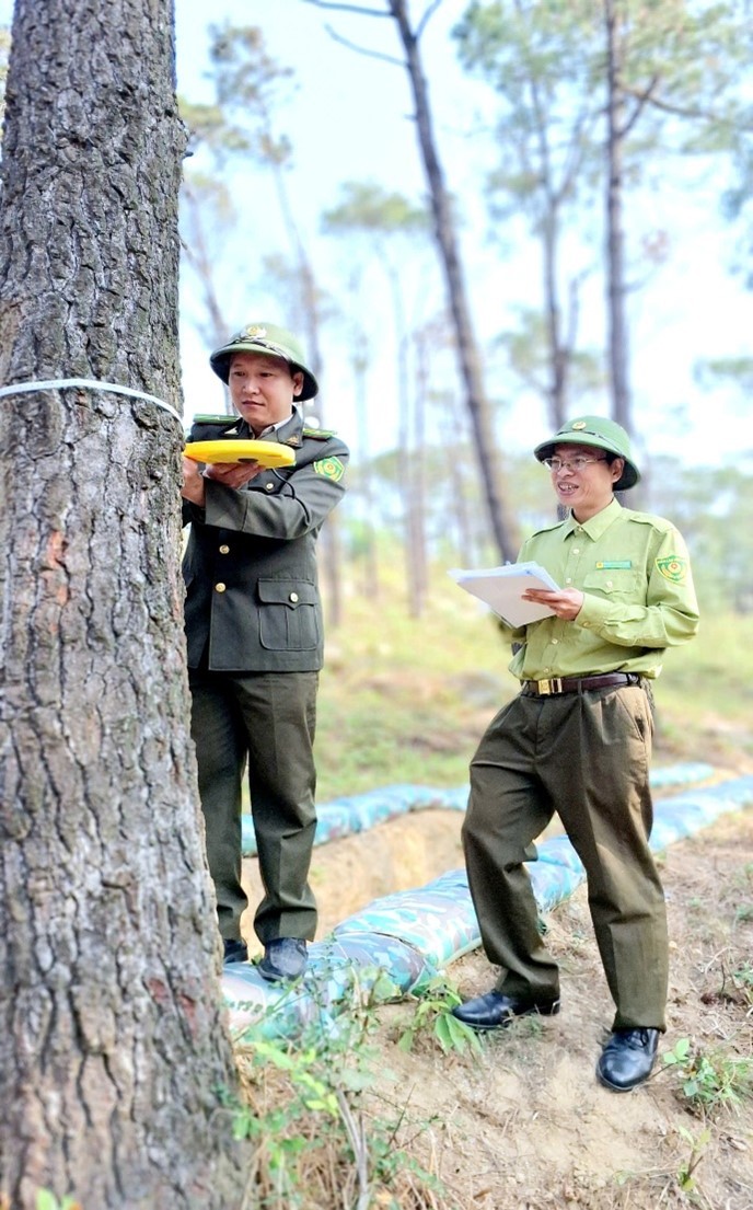 Hải Phòng: Siết chặt kiểm tra, nghiệm thu hiện trạng rừng và đất lâm nghiệp