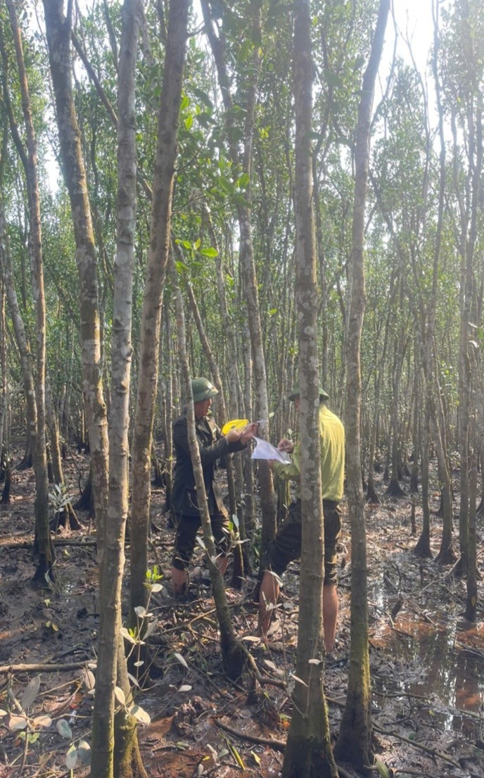 Hải Phòng: Siết chặt kiểm tra, nghiệm thu hiện trạng rừng và đất lâm nghiệp
