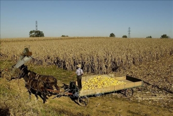 Nông dân Mỹ chịu áp lực giá phân bón khi chiến sự tại Iran làm gián đoạn nguồn cung