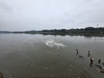 Đã có kết luận việc xả thải của Nhà máy giấy Yên Bình ra sông Hồng