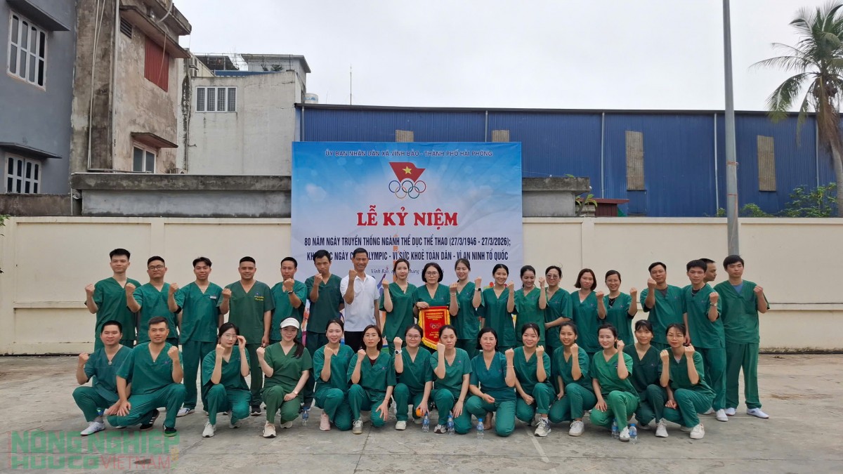Vĩnh Bảo sôi nổi chào mừng Ngày Thể thao Việt Nam 27/3, lan tỏa phong trào rèn luyện thân thể từ cơ sở