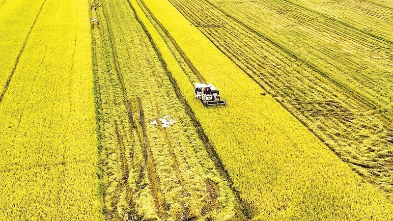 Ngành trồng trọt trên hành trình giảm phát thải