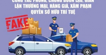 Tăng cường đấu tranh chống buôn lậu, hàng giả và xâm phạm sở hữu trí tuệ