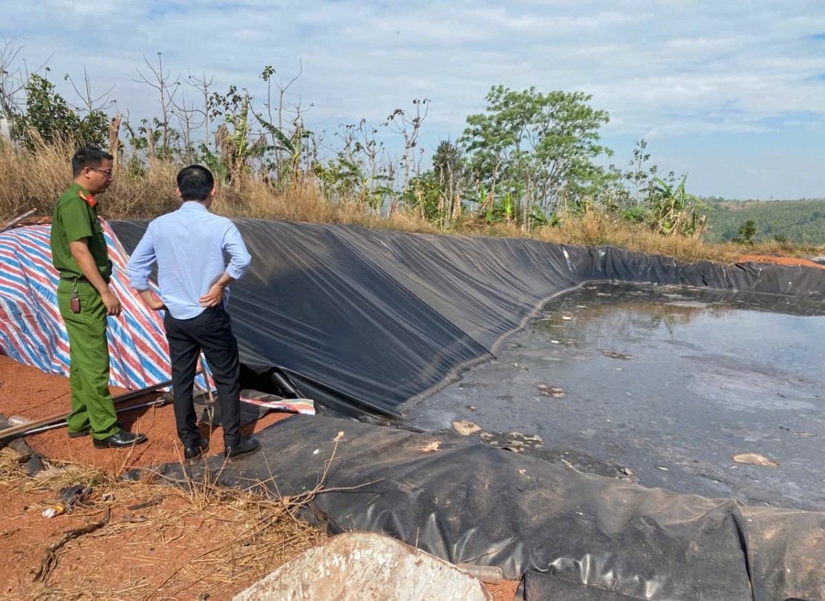 Kiểm tra, xử lý vi phạm môi trường tại trang trại chăn nuôi heo quy mô lớn