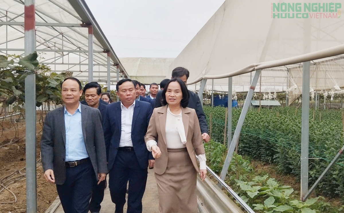 Nghệ An đặt “tam nông” vào vị trí chiến lược lâu dài trong tiến trình phát triển