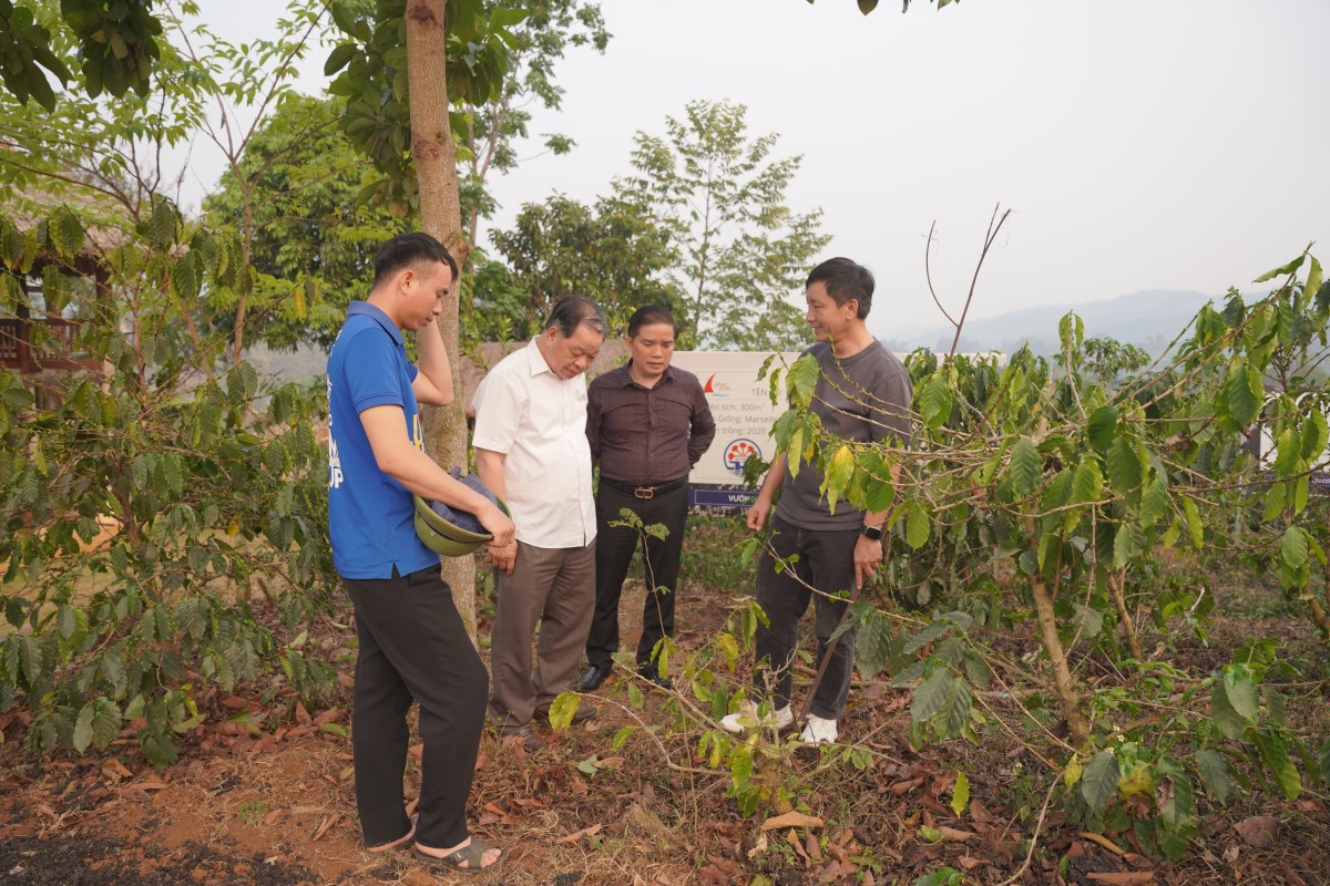 Giải bài toán phát triển nông nghiệp hữu cơ tại Sơn La