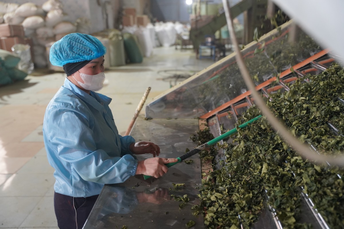 Kết nối giải bài toán phát triển nông nghiệp hữu cơ tại Sơn La